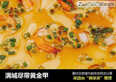 满城尽带黄金甲