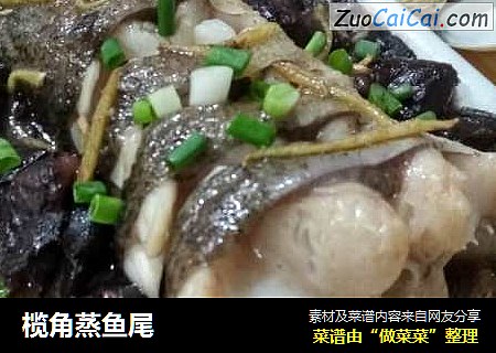 榄角蒸鱼尾