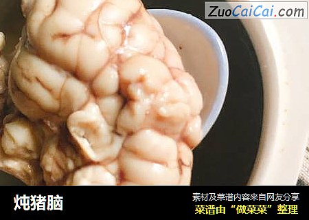 炖猪脑
