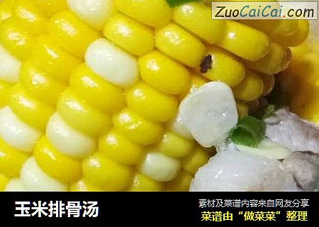 玉米排骨汤