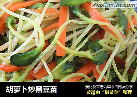 胡萝卜炒黑豆苗