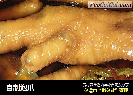 自制泡爪