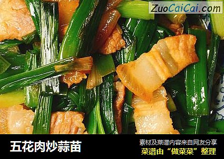 五花肉炒蒜苗