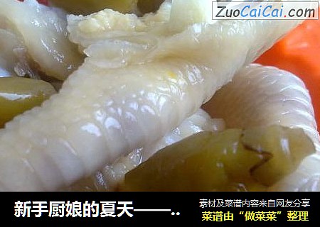 新手厨娘的夏天——泡椒凤爪