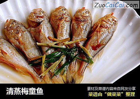 清蒸梅童鱼