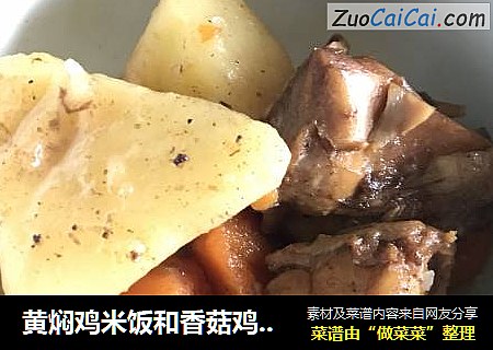 黄焖鸡米饭和香菇鸡腿饭
