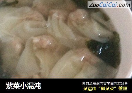 紫菜小混沌