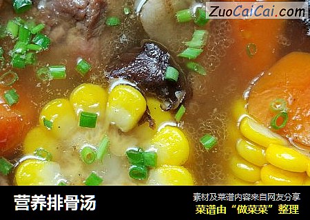 营养排骨汤