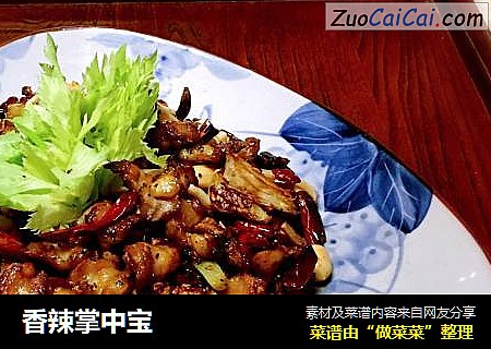 香辣掌中宝