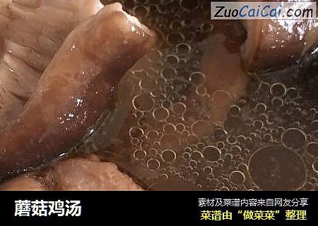 蘑菇鸡汤