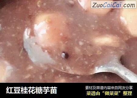 红豆桂花糖芋苗