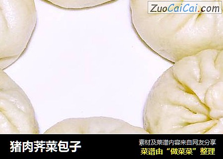 猪肉荠菜包子