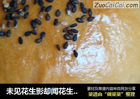 未见花生影却闻花生香——稀奇滴粽子面包
