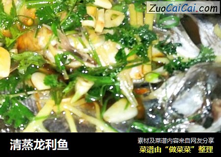 清蒸龙利鱼