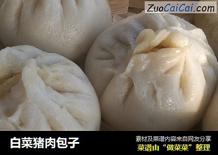 白菜猪肉包子