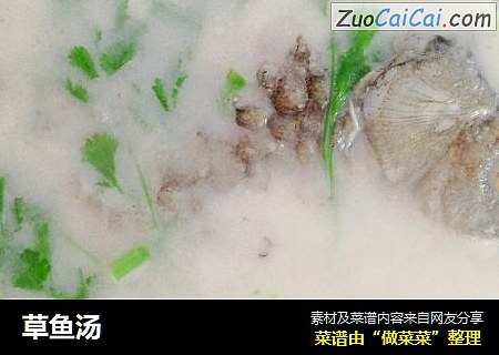 草鱼汤