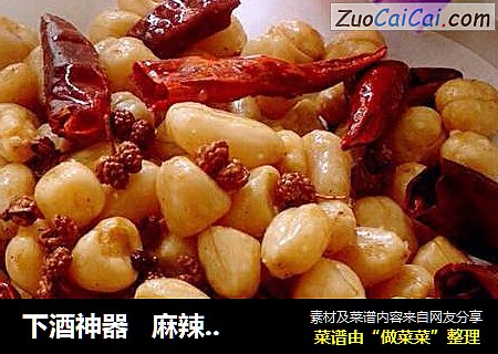 下酒神器   麻辣香酥花生