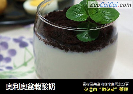 奥利奥盆栽酸奶