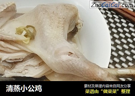 清蒸小公鸡