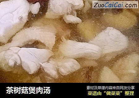 茶树菇煲肉汤