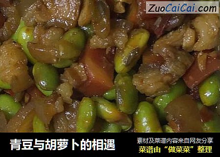 青豆与胡萝卜的相遇