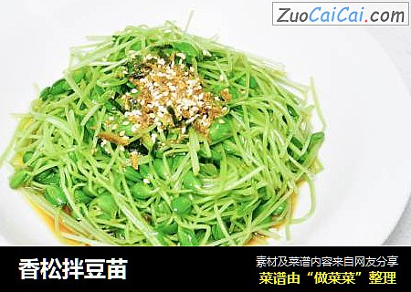 香松拌豆苗