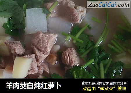 羊肉茭白炖红萝卜