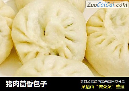 猪肉茴香包子