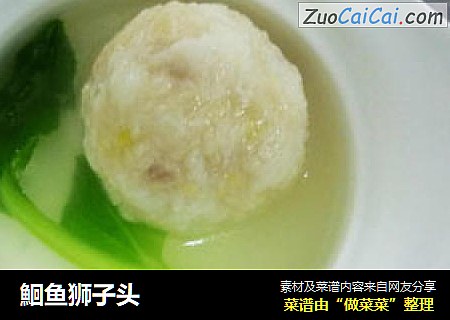 鮰鱼狮子头