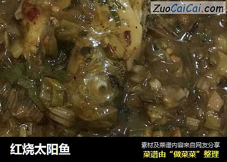 红烧太阳鱼