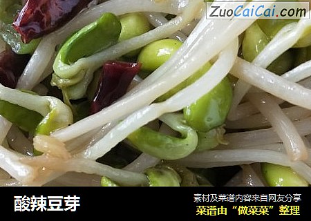 酸辣豆芽
