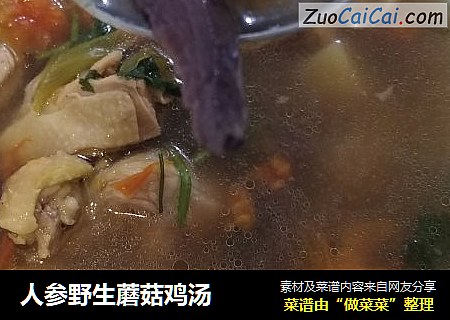 人参野生蘑菇鸡汤