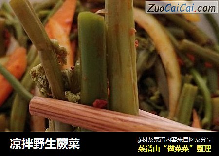凉拌野生蕨菜