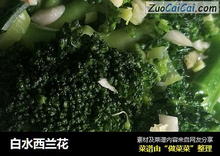 白水西兰花