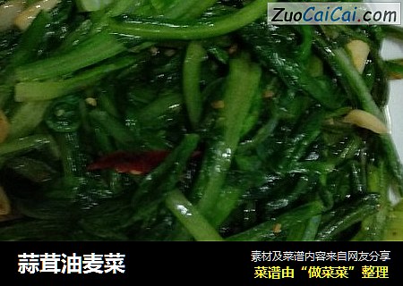 蒜茸油麦菜