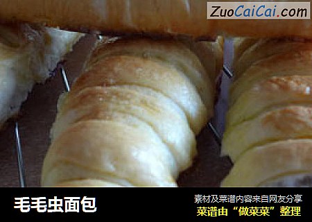 毛毛虫面包