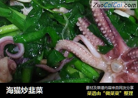 海猫炒韭菜