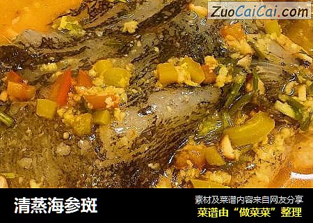 清蒸海参斑