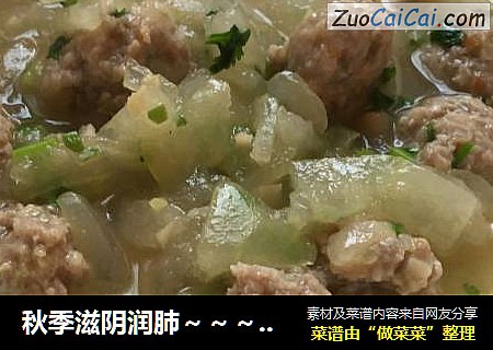 秋季滋阴润肺～～～冬瓜莲藕肉丸汤