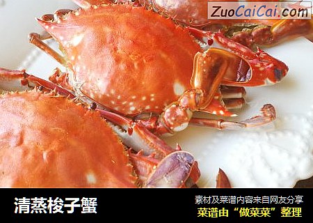 清蒸梭子蟹