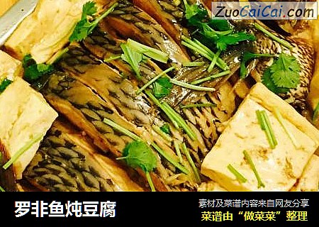 罗非鱼炖豆腐
