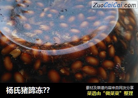 杨氏猪蹄冻??