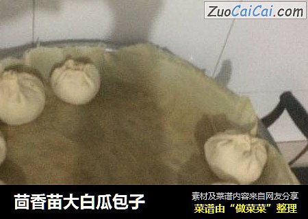 茴香苗大白瓜包子
