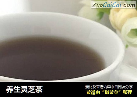 养生灵芝茶