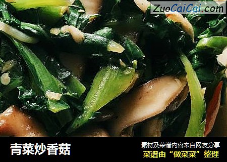 青菜炒香菇