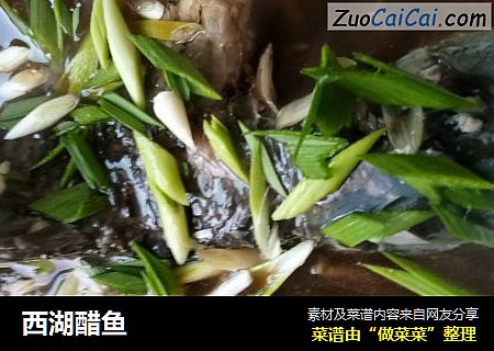 西湖醋鱼
