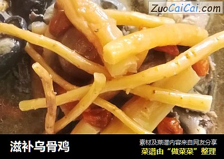 滋补乌骨鸡