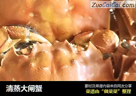清蒸大闸蟹