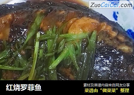 红烧罗菲鱼