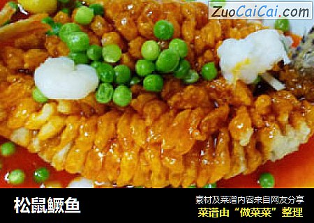 松鼠鳜鱼